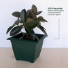 Bloem Dayton Square Resin Planter Pot Indoor and Outdoor Gardening - 3 of 4