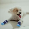Unique Bargains Dog Cats Non-Slip Socks Bone Pattern Paw Protection and Traction Blue 4 Pcs - 4 of 4