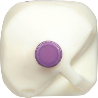 Lehigh Valley Skim Milk - 1gal