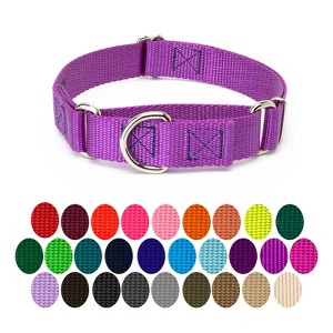 Country Brook Petz Martingale Heavyduty Training Collar with No Buckle - Service Collar for All Dogs - Vibrant, Colorful Collection - 1 of 4