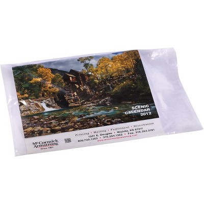 Staples 8W x 10L Lay Flat Poly Bag 3.8 Mil 50023-CC