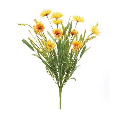 Melrose Mixed Daisy Bush (Set of 6)