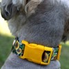 Country Brook Petz® Deluxe Dog Collar - Country and Western Collection - Made In The U.S.A. - 3 of 4