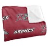 Rider University Logo Pattern Silky 50x60 Blanket, 1 Sided - 3 of 4