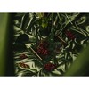 Piecework Puzzles - Taurus - 2 of 4