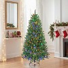 JIONJOY Artificial Christmas Tree – Hinged Metal Frame for Easy Setup, 700 Branch Tips Full Body, Indoor Home Holiday Decor - 2 of 4