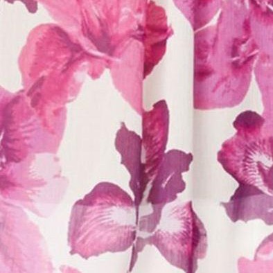 purple-creampinkiris