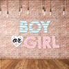 Big Dot of Happiness Baby Gender Reveal - Team Boy or Girl Party Decorations - Boy or Girl - Outdoor Letter Banner - 3 of 4