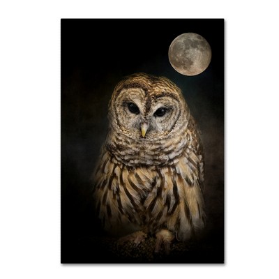 Barred Owl and Moon Framed Canvas Art in Dark Tones