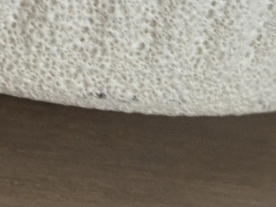 Guest review image 4 of 4, zoom in