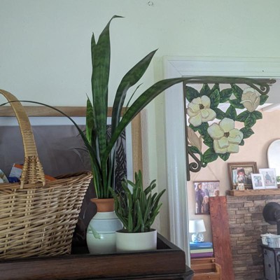 Guest review image 2 of 3, zoom in