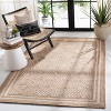 Natural Fiber NF889 Power Loomed Area Rug  - Safavieh - 2 of 4