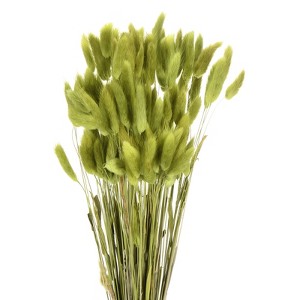 Unique Bargains Decorative Natural Dried Floral Bunny Tail Artificial Plants 120 Pcs - 1 of 4