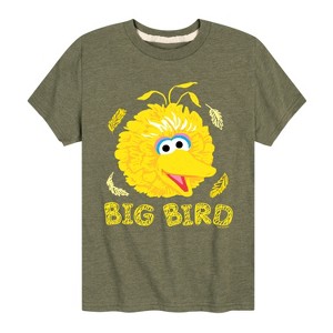 Boys' - Sesame Street - Big Bird Face Short Sleeve Graphic T-Shirt - 1 of 4