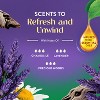 Air Wick Scented Oil Refills - Lavender & Chamomile - 4 of 4