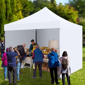 Commercial Canopy Tent with 4 Removable Sidewalls, 10x10 Pop Up Canopy Tent - 1 of 4