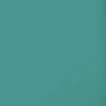 Ocean Green Case with Ocean Strap