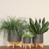 VisioGear 7" Tall Round Planter with Wooden Stand, Plant Pots for Living Room, Bedroom, Matte Gray, 5"*5"*7" - 2 of 4