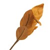 Faux Foliage Magnolia Leaf - Bullseye's Playground™ - 2 of 4