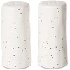 Pavilion Gift Company - Snow Bird - Salt and Pepper Shaker Set - Salt and Pepper Shakers - 3 of 3
