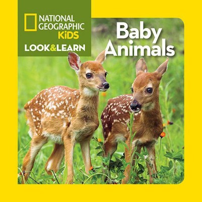 Baby Animals - (Look & Learn) by  National Kids (Board Book)