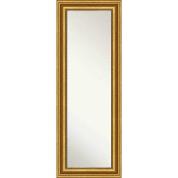 20" x 54" Non-Beveled Parlor Gold Full Length on The Door Mirror - Amanti Art