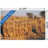 Trends International Meerkat Unframed Wall Poster Prints - 3 of 4