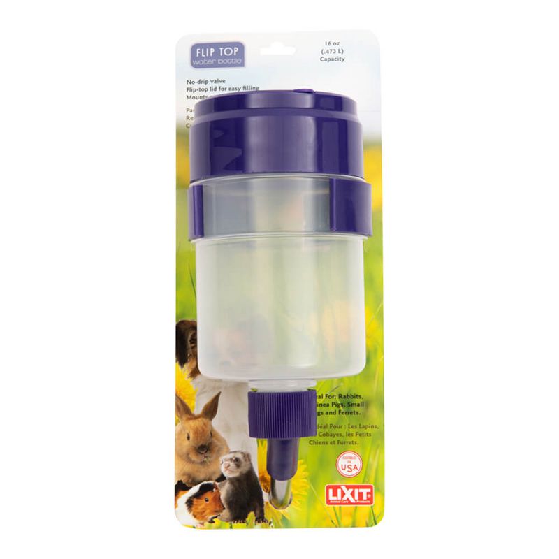 Lixit Flip Top Water Bottle - 16 oz, 1 of 4