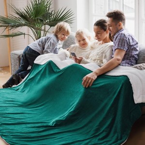 Bedsure Faux Wool Blanket–Solid Color Throw, Ultra Soft and Warm Reversible Blanket for Bed or Couch - 1 of 4