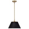 Nuvo Lighting Dover 1 - Light Pendant in  Black/Vintage Brass - 4 of 4