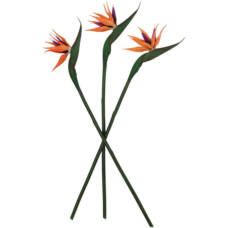Northlight Real Touch™ Bird of Paradise Artificial Floral Stems, Set of 6 - 33", 4 of 10