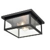 Millennium Lighting Evanton 2 - Light Flush Mount in  Powder Coated Black - 3 of 4