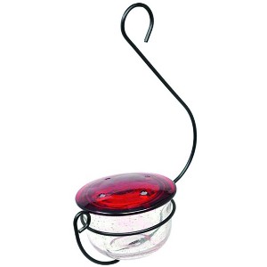 Backyard Essentials Clear Bubble Glass Hanging Hummingbird Feeder - 6 oz - 1 of 3