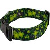 Country Brook Petz HossFit Jr Wide Deluxe Dog Collar - Irish Pride Collection - 2 of 4