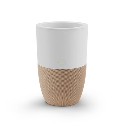 Dupray Bloom Air Purifier | Medical-Grade HEPA-13 Air Filtration