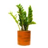 SEVOBAL Planters Hand Painted Terracotta Self Watering Planter Pot Eco Friendly, Self Watering And Artisanal Design, Dark Brown, 7.80"*7.80"*7.80" - 3 of 4