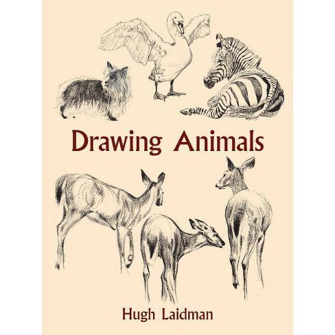Drawing Animals - (dover Art Instruction) By Hugh Laidman (paperback) :  Target