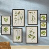 Plum & Post Foliage Prints, Set Of 9 - 4 of 4