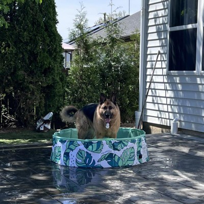 Piscina Para Perros Pequeños Gimdog Splash Time! S (80 X 20 Cm) con Ofertas  en Carrefour