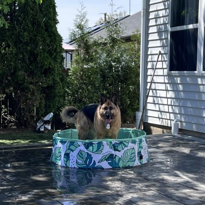 Minnidip Pup Dip - That's Banana Leaves Dog Pool : Target