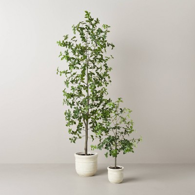 33&#34; Faux Gypsophila Leaf Plant - Hearth &#38; Hand&#8482; with Magnolia