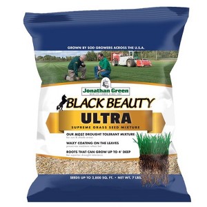 Jonathan Green Black Beauty Ultra All Grasses Sun or Shade Grass Seed 7 lb - 1 of 1