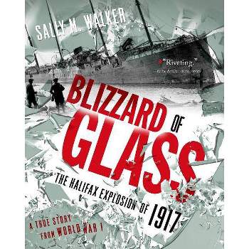 Blizzard of Glass - by  Sally M Walker (Paperback)