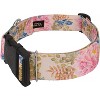 Country Brook Petz HossFit Jr Wide Deluxe Dog Collar - Spring Collection - 3 of 4