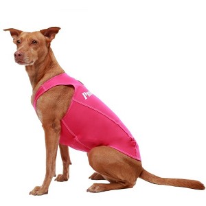 PRODOGG™ Anti-Anxiety Compression Shirt - Large to 2XL 159101B - 1 of 4