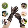 Unique Bargains Women's Lace Fishing Net Long Sunblock Mittens Black 1 Pair - 4 of 4