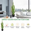 Tangkula Artificial Tiger Plant Indoor & Outdoor Decoration Faux Agave Fake Sansevieria - 4 of 4