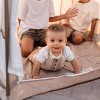 Baby Delight Go With Me Deluxe Playard Villa Tent - 3 of 4