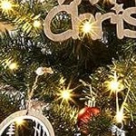 bracketed pot - 300 led lights