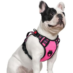 rabbitgoo Dog Harness Small Sized Dog, , Easy Walking Harness with 2 Leash Clips, Pink, S - 1 of 1